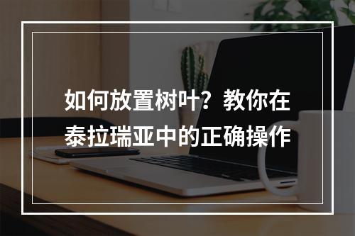 如何放置树叶？教你在泰拉瑞亚中的正确操作