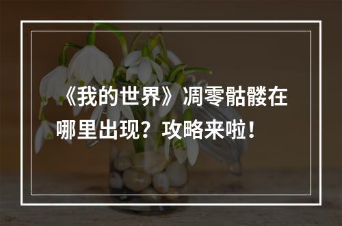 《我的世界》凋零骷髅在哪里出现？攻略来啦！