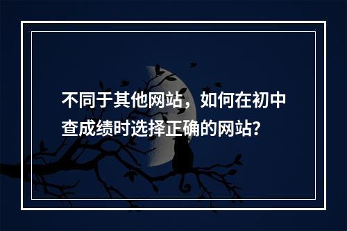 不同于其他网站，如何在初中查成绩时选择正确的网站？