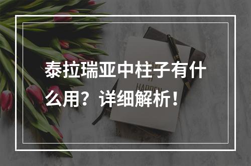 泰拉瑞亚中柱子有什么用？详细解析！