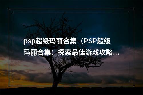 psp超级玛丽合集（PSP超级玛丽合集：探索最佳游戏攻略）