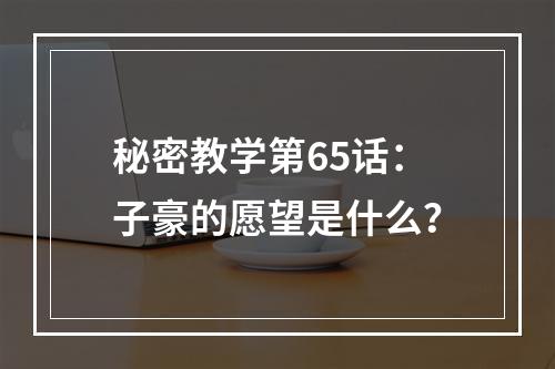 秘密教学第65话：子豪的愿望是什么？