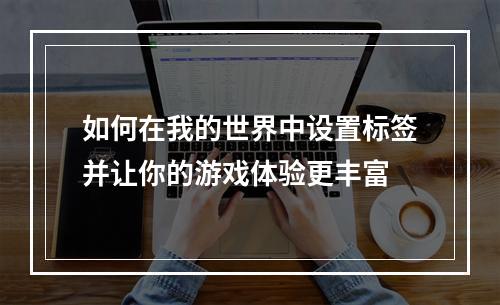 如何在我的世界中设置标签并让你的游戏体验更丰富