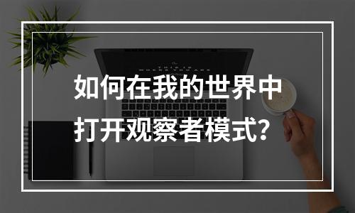 如何在我的世界中打开观察者模式？