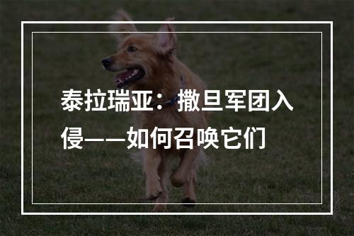 泰拉瑞亚：撒旦军团入侵——如何召唤它们