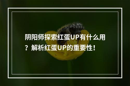 阴阳师探索红蛋UP有什么用？解析红蛋UP的重要性！