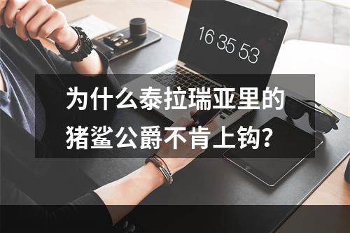 为什么泰拉瑞亚里的猪鲨公爵不肯上钩？