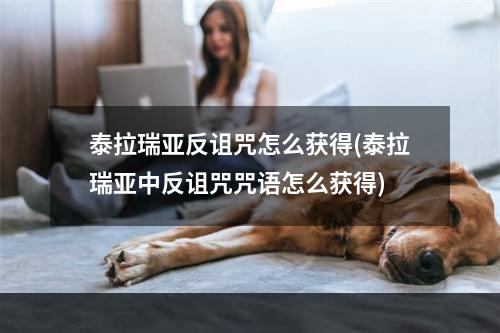 泰拉瑞亚反诅咒怎么获得(泰拉瑞亚中反诅咒咒语怎么获得)