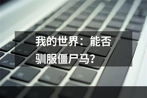 我的世界：能否驯服僵尸马？