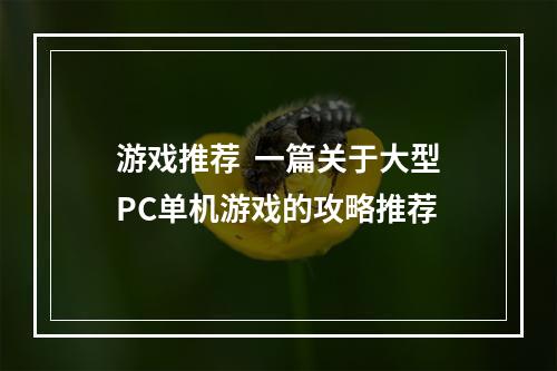 游戏推荐  一篇关于大型PC单机游戏的攻略推荐