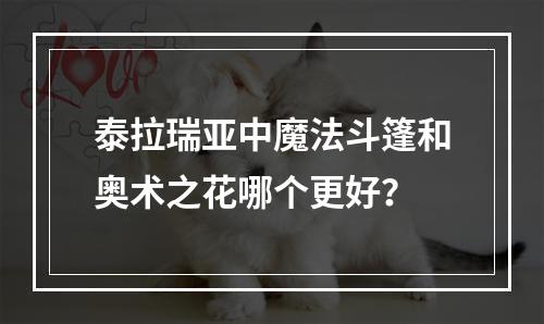 泰拉瑞亚中魔法斗篷和奥术之花哪个更好？