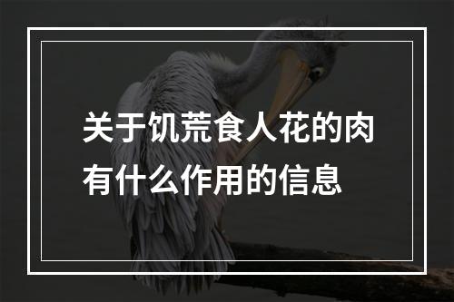 关于饥荒食人花的肉有什么作用的信息