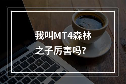 我叫MT4森林之子厉害吗？