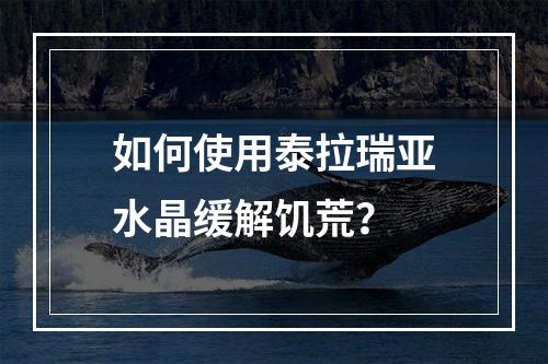 如何使用泰拉瑞亚水晶缓解饥荒？