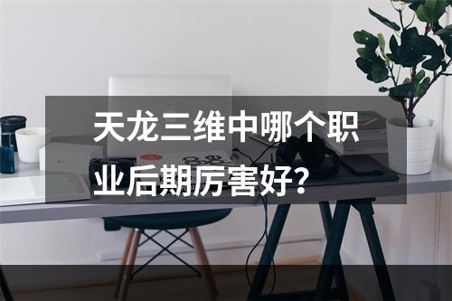 天龙三维中哪个职业后期厉害好？