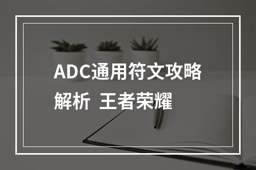 ADC通用符文攻略解析  王者荣耀