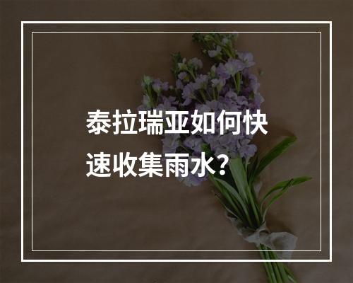 泰拉瑞亚如何快速收集雨水？