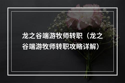 龙之谷端游牧师转职（龙之谷端游牧师转职攻略详解）