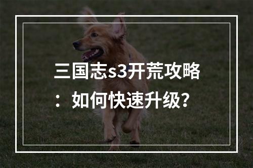 三国志s3开荒攻略：如何快速升级？