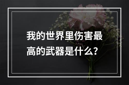 我的世界里伤害最高的武器是什么？