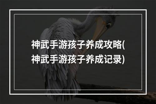 神武手游孩子养成攻略(神武手游孩子养成记录)