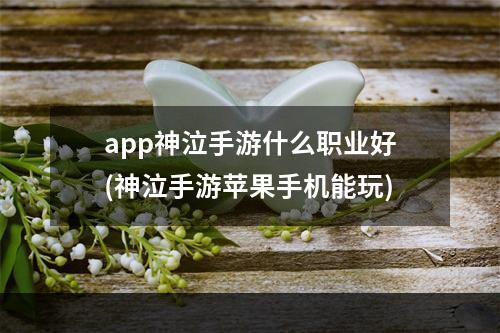 app神泣手游什么职业好(神泣手游苹果手机能玩)