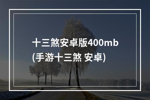 十三煞安卓版400mb(手游十三煞 安卓)