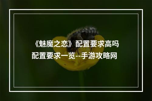 《魅魔之恋》配置要求高吗 配置要求一览--手游攻略网