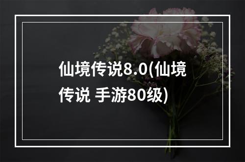 仙境传说8.0(仙境传说 手游80级)