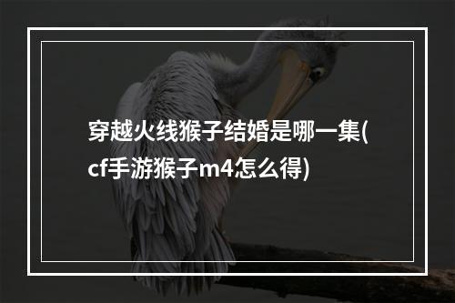 穿越火线猴子结婚是哪一集(cf手游猴子m4怎么得)