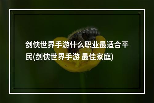 剑侠世界手游什么职业最适合平民(剑侠世界手游 最佳家庭)