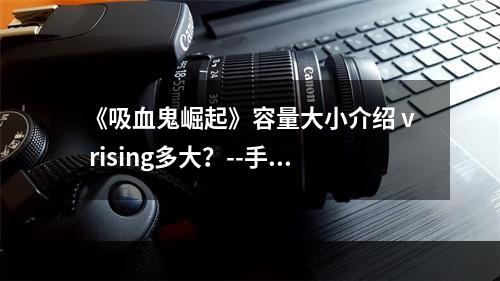 《吸血鬼崛起》容量大小介绍 v rising多大？--手游攻略网