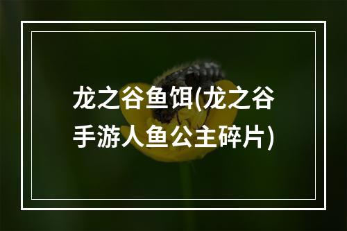 龙之谷鱼饵(龙之谷手游人鱼公主碎片)