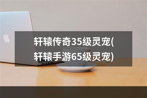 轩辕传奇35级灵宠(轩辕手游65级灵宠)