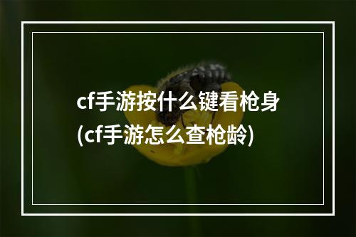 cf手游按什么键看枪身(cf手游怎么查枪龄)