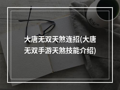 大唐无双天煞连招(大唐无双手游天煞技能介绍)