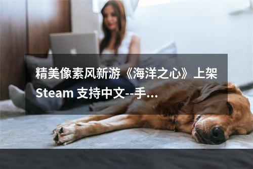 精美像素风新游《海洋之心》上架Steam 支持中文--手游攻略网