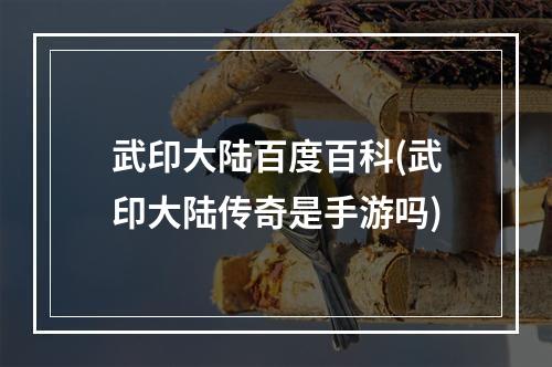 武印大陆百度百科(武印大陆传奇是手游吗)