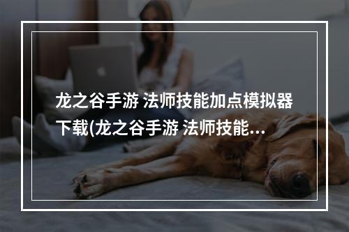 龙之谷手游 法师技能加点模拟器下载(龙之谷手游 法师技能加点模拟器)