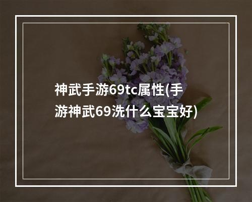 神武手游69tc属性(手游神武69洗什么宝宝好)