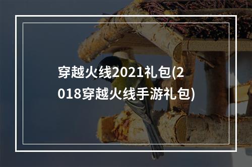 穿越火线2021礼包(2018穿越火线手游礼包)