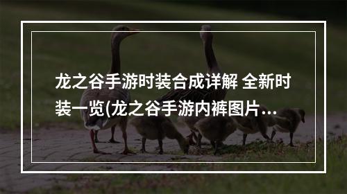 龙之谷手游时装合成详解 全新时装一览(龙之谷手游内裤图片大全)