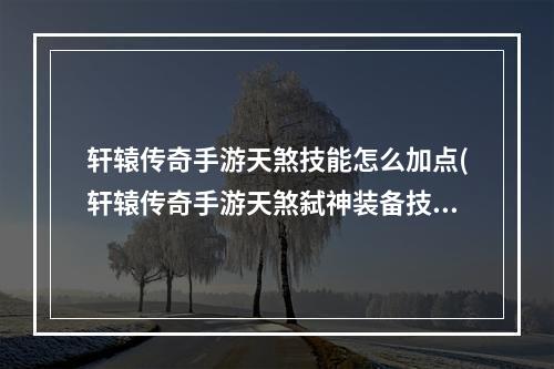 轩辕传奇手游天煞技能怎么加点(轩辕传奇手游天煞弑神装备技能)