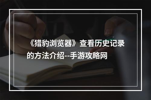 《猎豹浏览器》查看历史记录的方法介绍--手游攻略网