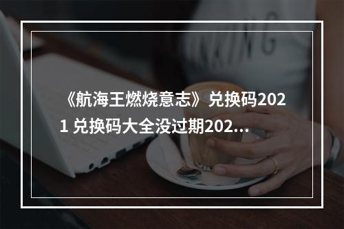 《航海王燃烧意志》兑换码2021 兑换码大全没过期2021年1月--游戏攻略网