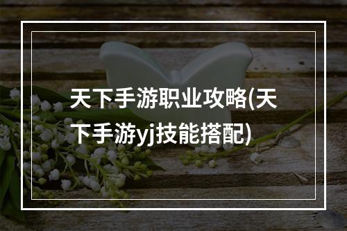 天下手游职业攻略(天下手游yj技能搭配)