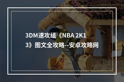 3DM速攻组《NBA 2K13》图文全攻略--安卓攻略网