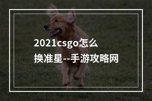 2021csgo怎么换准星--手游攻略网