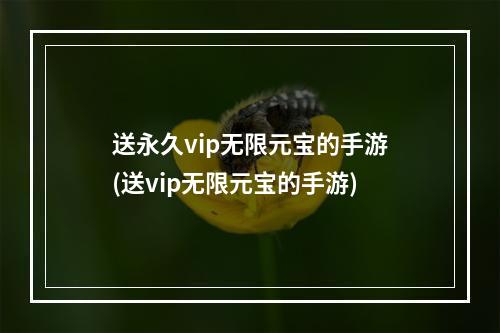 送永久vip无限元宝的手游(送vip无限元宝的手游)