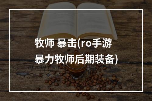 牧师 暴击(ro手游暴力牧师后期装备)